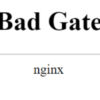 502 Bad Gateway